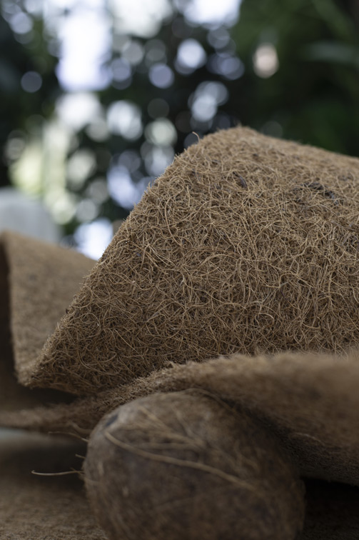 Детский матрас Dreamline Baby Dream TFK 60х120х12